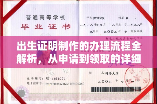 颍泉出生证明制作的办理流程全解析，从申请到领取的详细指南